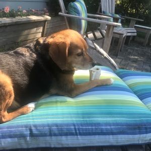 Meet your Posher, Colleen